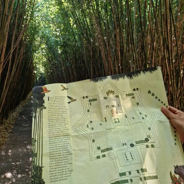 @labirintodellamasone

Il Labirinto della Masone è un grandioso labirinto composto interamente da piante di bambù: 
in totale sono circa trecentomila, appartenenti a diverse specie, alte tra i 3 e i 15 metri.
Un percorso in cui inoltrarsi, perdersi, fantasticare, giocare! 

Quanto tempo dedicarci è totalmente soggettivo.

Tips #nemoingiro:

💰 biglietto di ingresso al costo di € 20 (adulti) ma la svolta è prenderli utilizzando i punti Esselunga

🍽 per il pranzetto spostatevi nella vicina #fontanellato per un tagliere di salumi e dei tortelli deliziosi alla XSalumeria
Oppure giretto per #parma

🔥 domani 13 ottobre ci sarà ancora la possibilità di visitare una parte del parco normalmente chiusa al pubblico, spoilerino nel post!

Per tutto il resto seguite la loro pagina web per essere sempre aggiornati!!!
.
.
#labirinto #bamboo #green